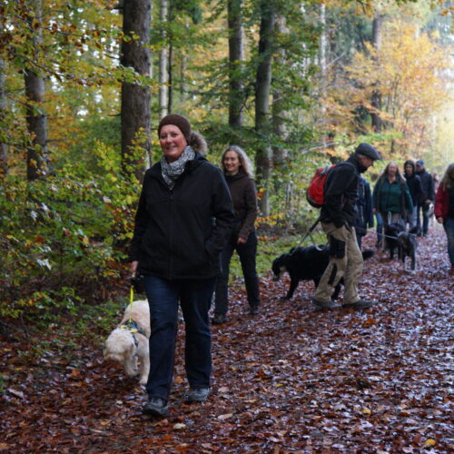 Waldspaziergang am 27.10.2024